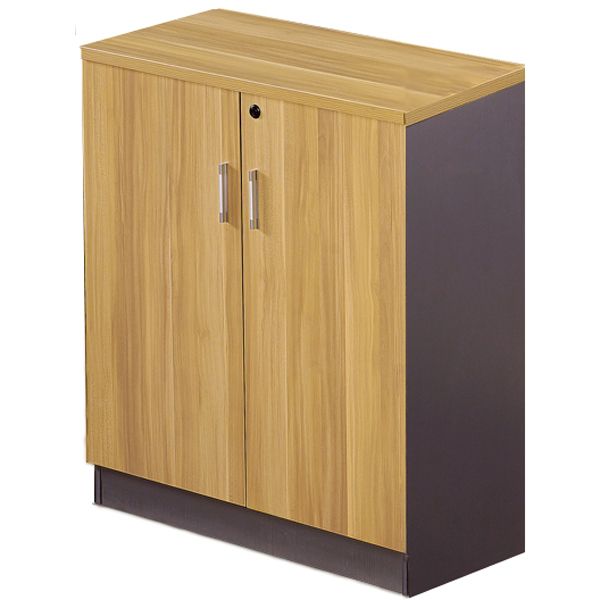 Armoire Basse avec 2 Portes Battantes en Bois F1038